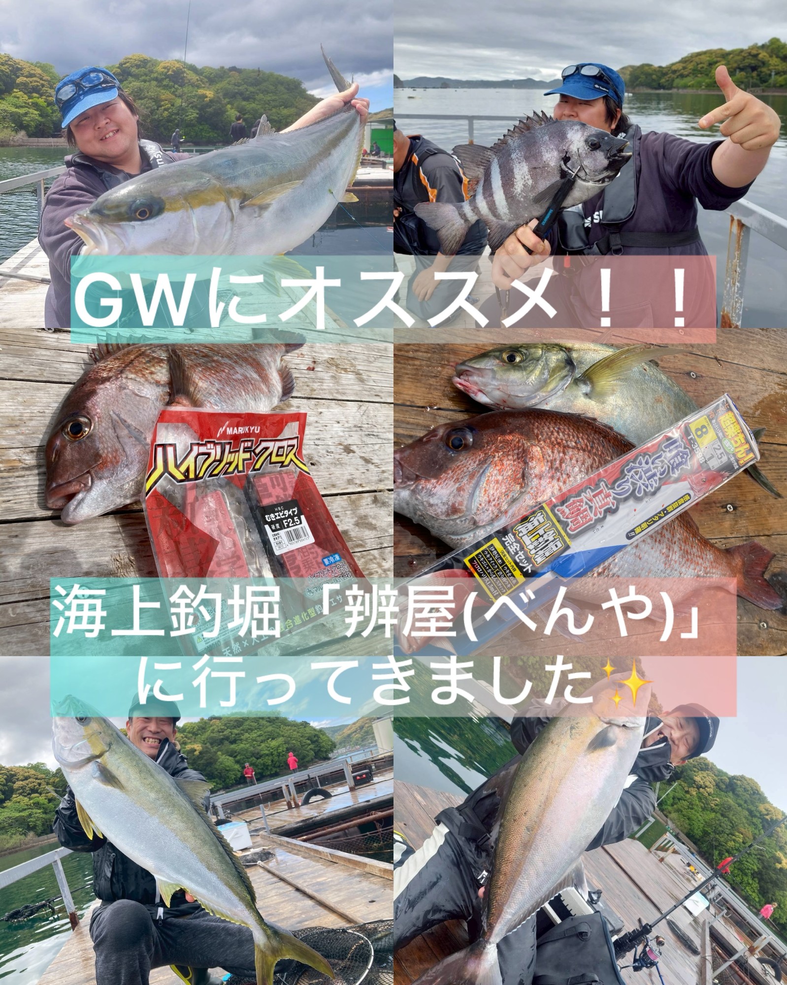 釣り師(プロフィール要確認) 青物＆イシダイ攻略！]海上釣堀「辨屋（べんや）」さんに行ってきまし